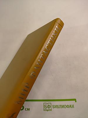 Звездная стража