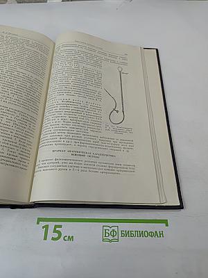 Руководство по внутренним болезням. Том II. Болезни сердечно-сосудистой системы