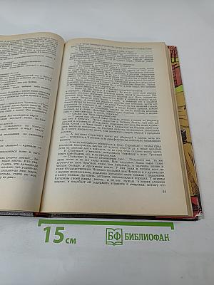 Пугачевцы, Том третий