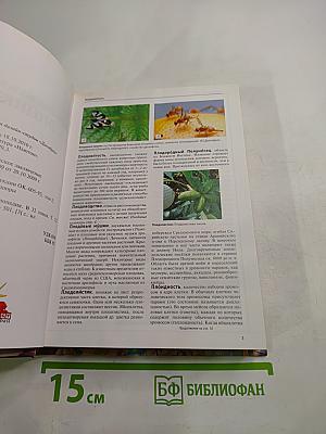 Большая иллюстрированная энциклопедия. Том 22: ПЛО-ПУЧ