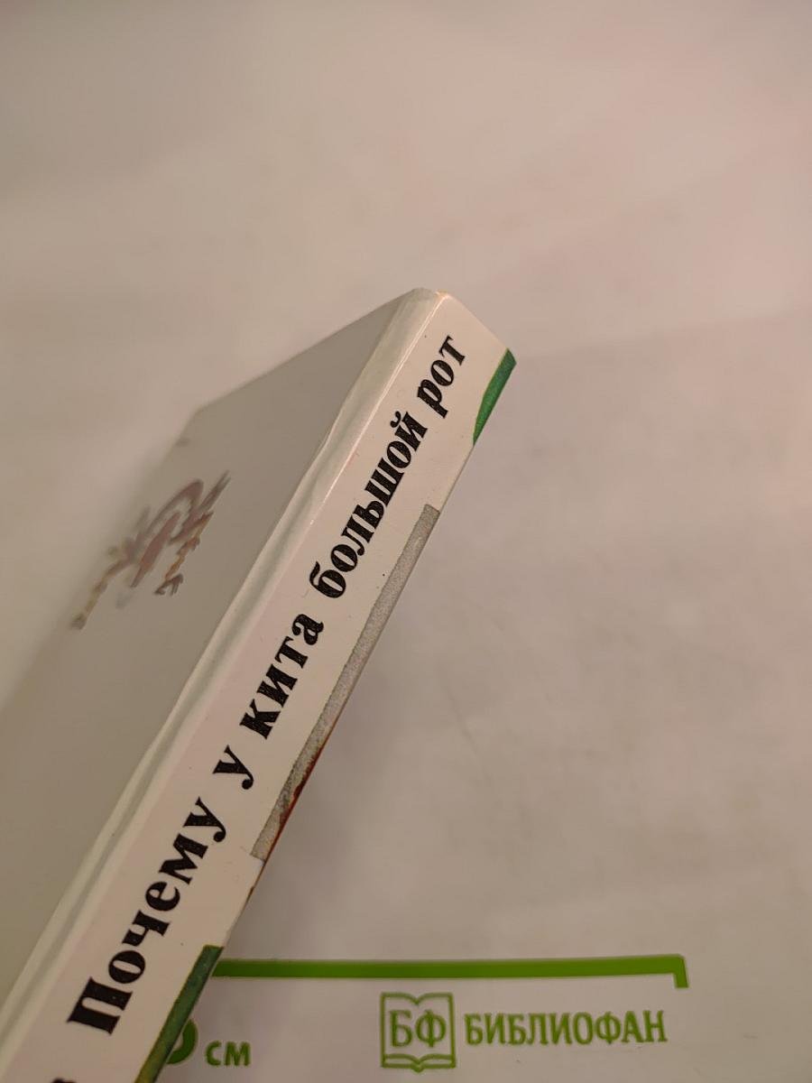 Почему у кита большой рот