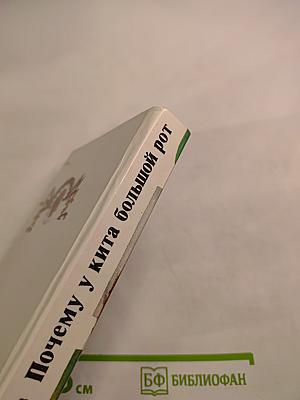 Почему у кита большой рот