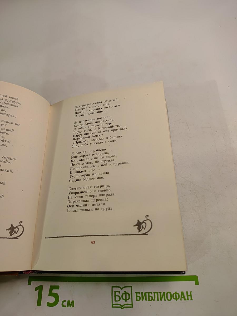 Витязь в тигровой шкуре