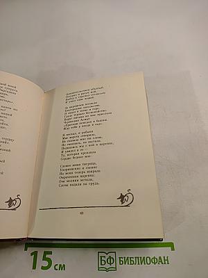 Витязь в тигровой шкуре