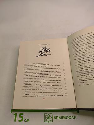 Витязь в тигровой шкуре