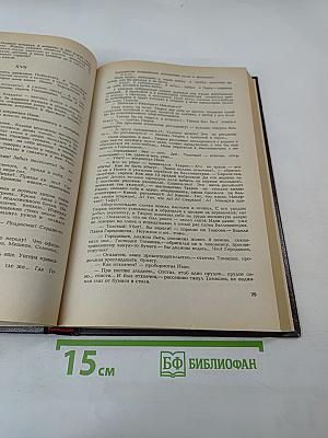 Пугачевцы. Том четвертый