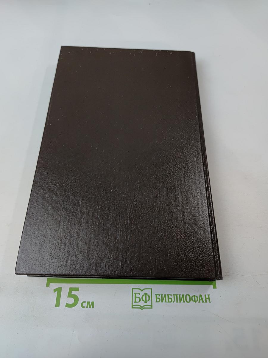 Пугачевцы. Том четвертый