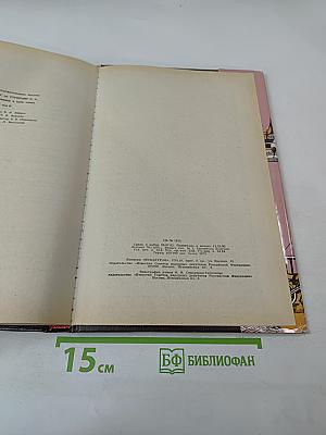 Принцесса Владимирская. Том второй