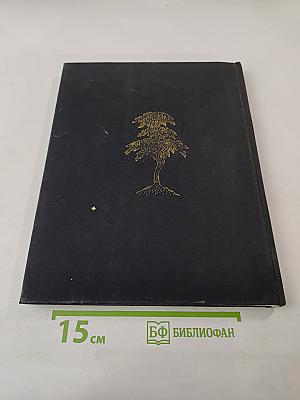 Искусство Палеха