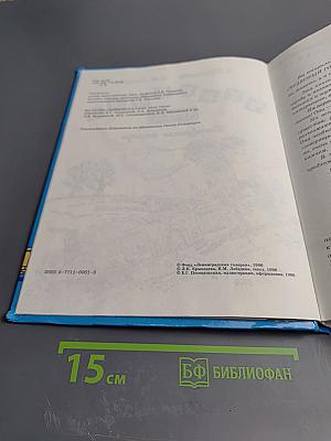Чудесный город. Петербургская тетрадь