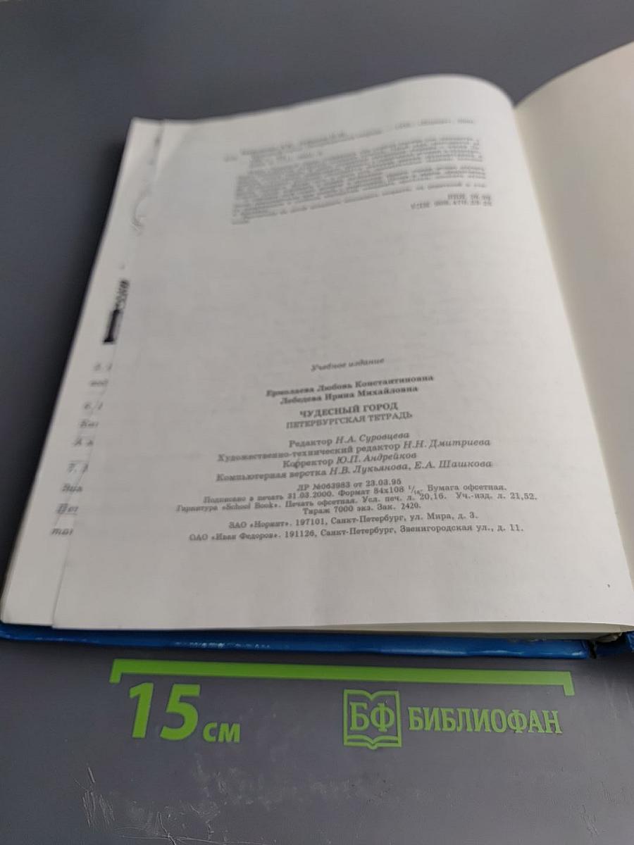 Чудесный город. Петербургская тетрадь