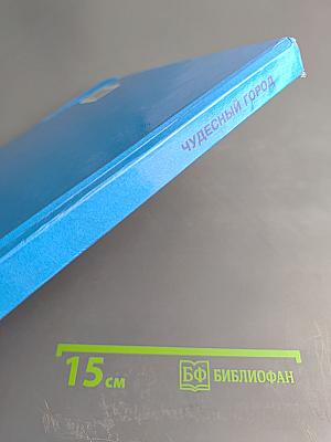 Чудесный город. Петербургская тетрадь