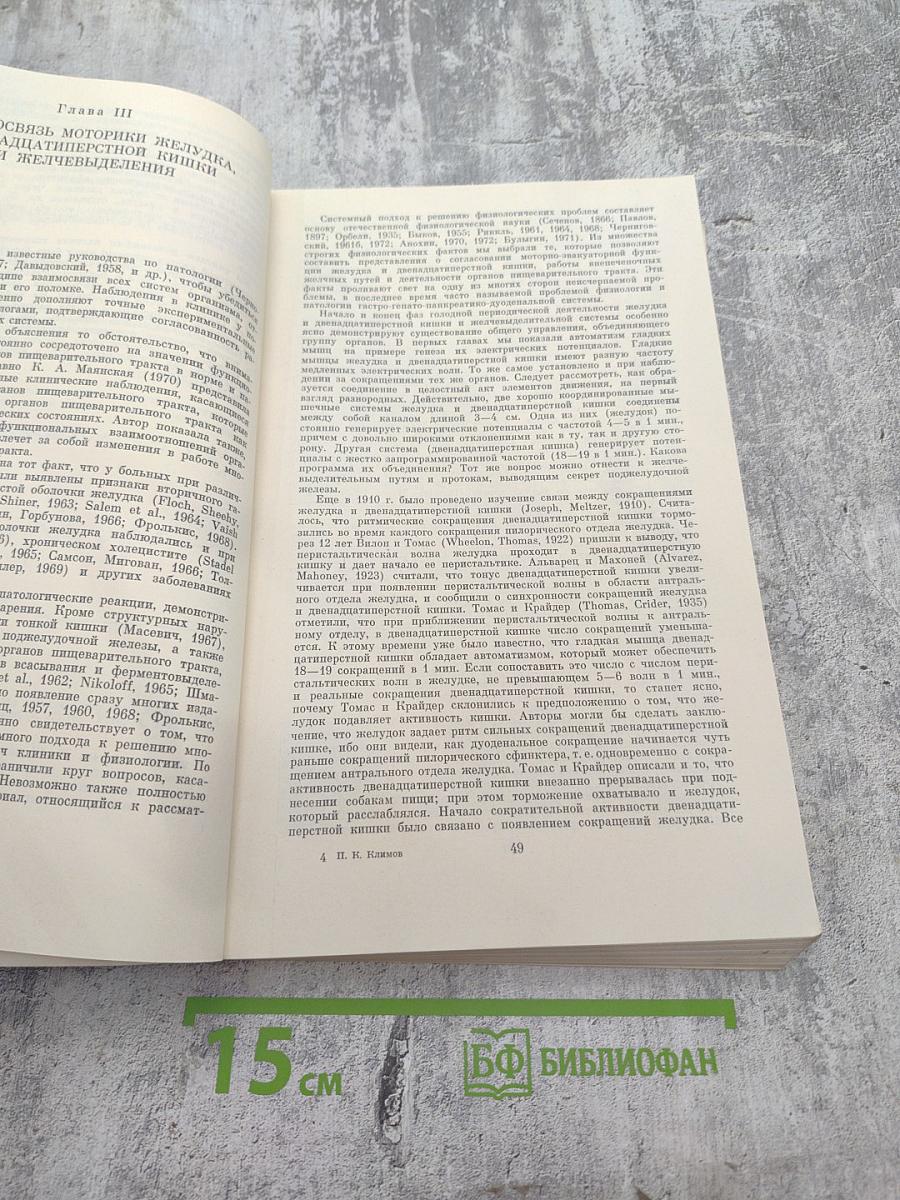 Функциональные взаимосвязи в пищеварительной системе