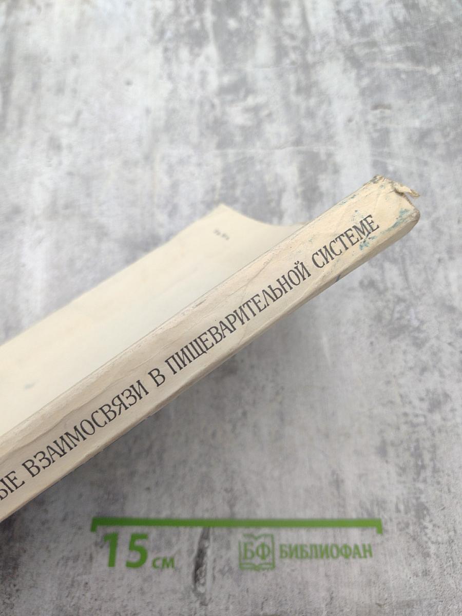 Функциональные взаимосвязи в пищеварительной системе