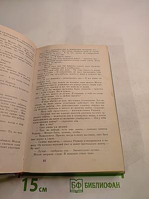 Остросюжетный детектив N