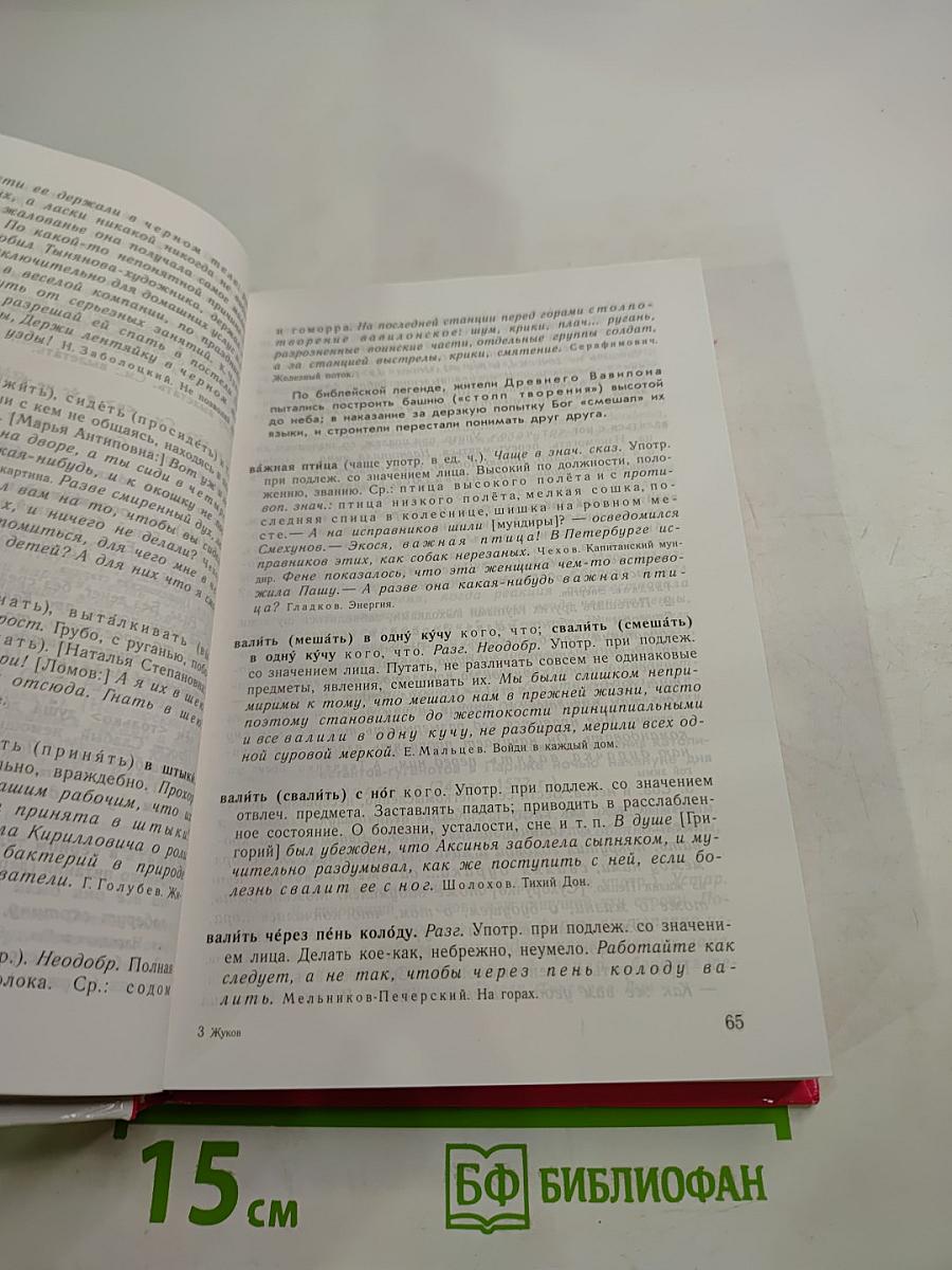 Школьный фразеологический словарь русского языка