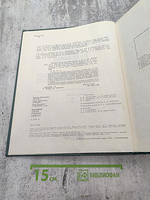 Большой англо-русский словарь. Том II