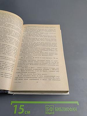 Одеты камнем. Радищев