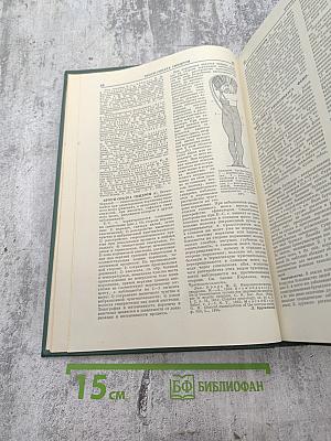 Малая медицинская энциклопедия. Том 2. Бронхоаденит – Гоннотомия