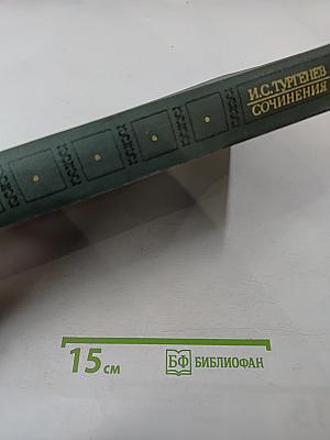 Сочинения. Том 2. Повести и романы. 1860-1876