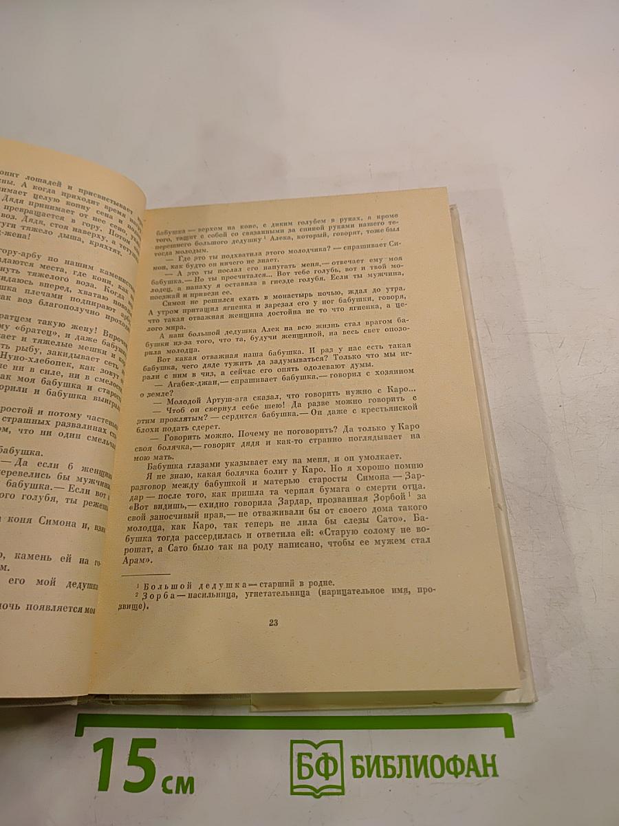 Ахавни Ширак. Роман. Книга первая.