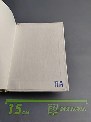 Энн Олдфилд