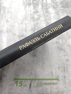 Собрание сочинений. Том шестой: Псы Господни. Меч Ислама