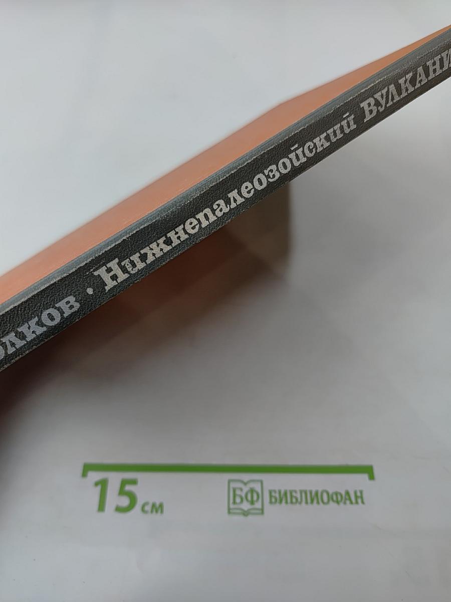 Нижнепалеозойский вулканизм Центральной Азии