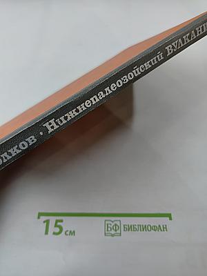 Нижнепалеозойский вулканизм Центральной Азии