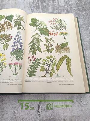 Малая медицинская энциклопедия. Том 5