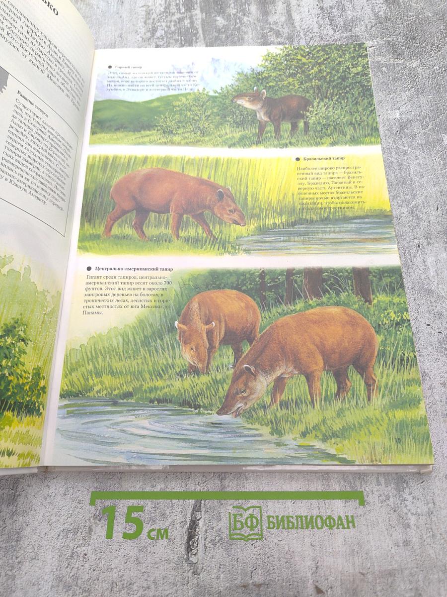 Познавательная энциклопедия. Экология