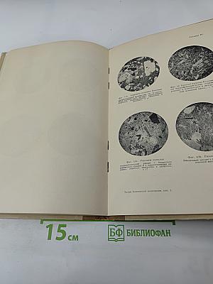 Материалы по геологии и петрографии района рек Авачи, Рассошины, Гаванки и Налачевы на Камчатке. Выпуск 2