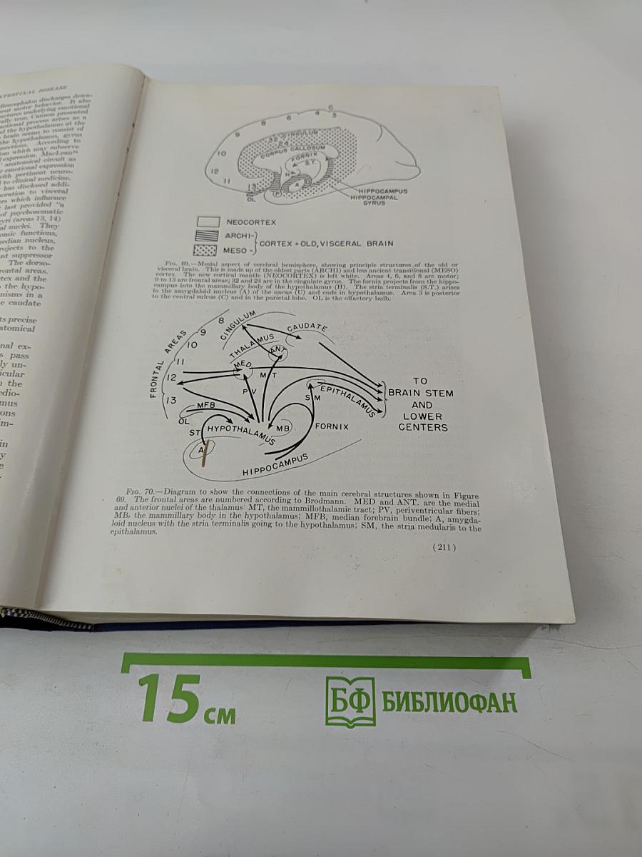 Diseases of the Digestive System