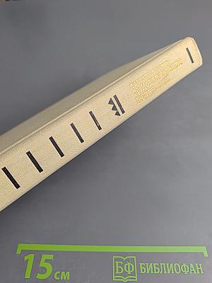 Сыновья Большой Медведицы. Токей Ито