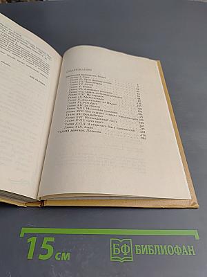 Маленькая принцесса. Чудная девочка. Том 4