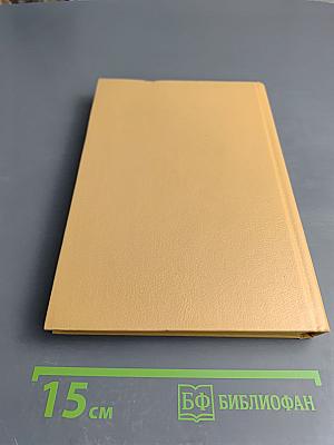 Маленькая принцесса. Чудная девочка. Том 4