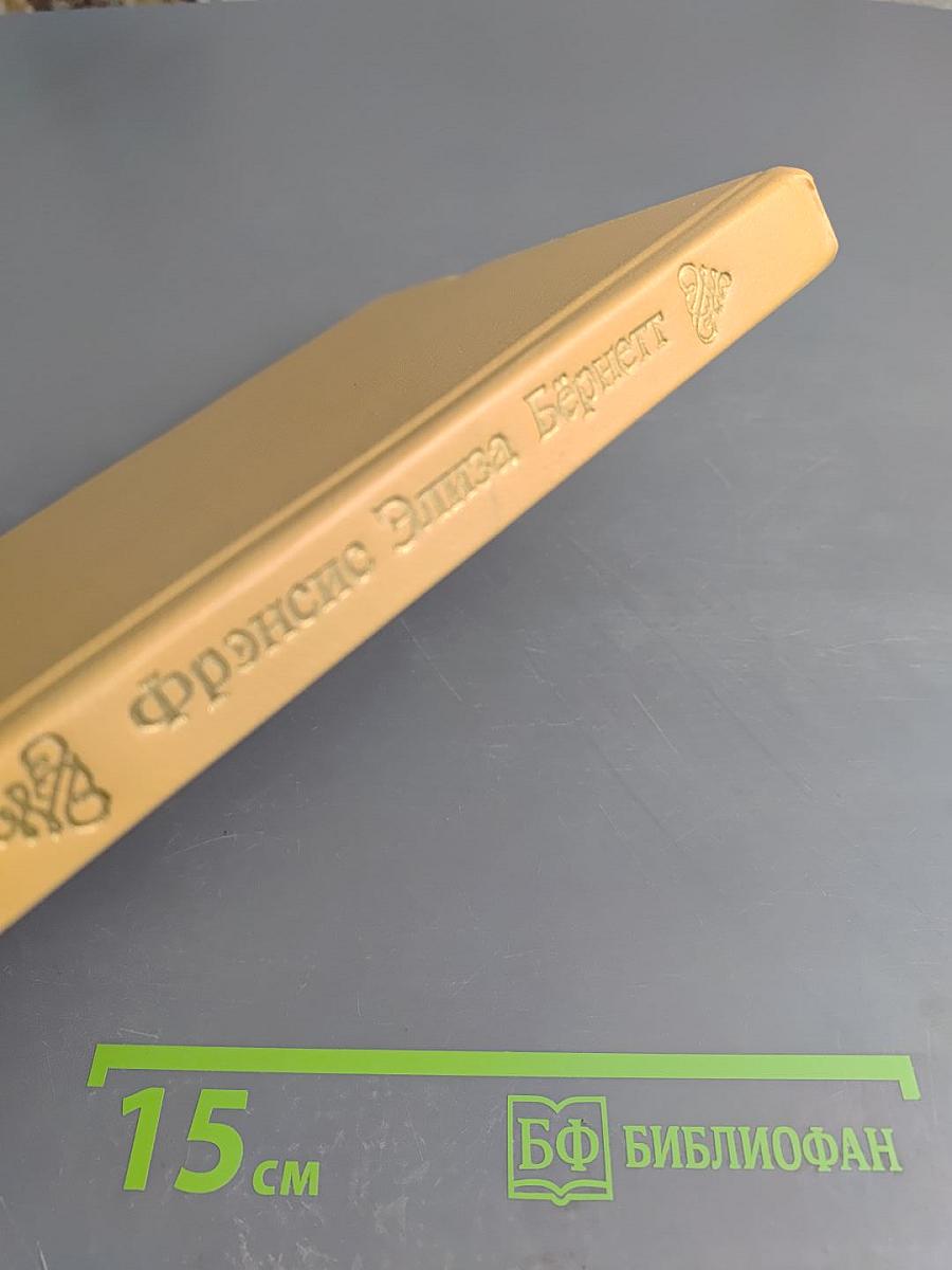 Маленькая принцесса. Чудная девочка. Том 4