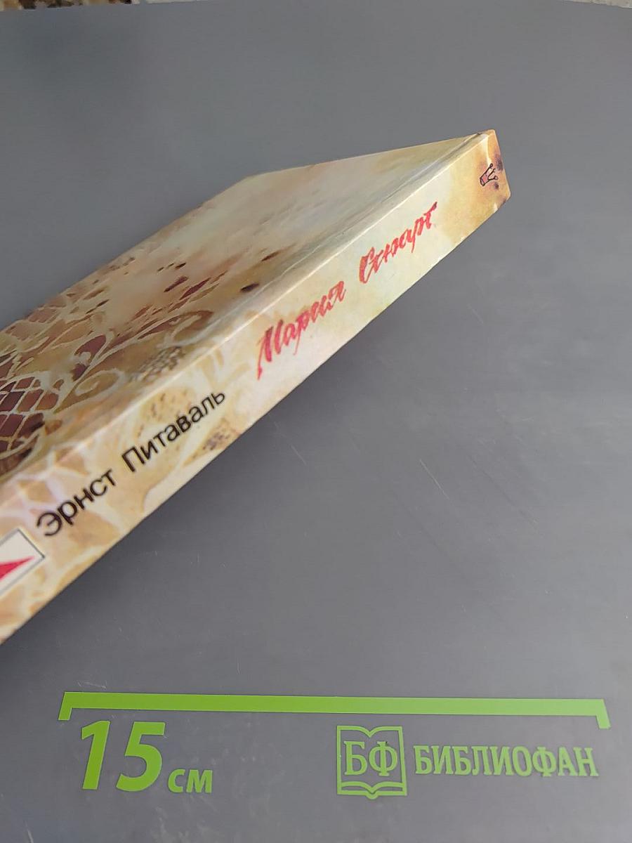 Мария Стюарт: В борьбе за трон