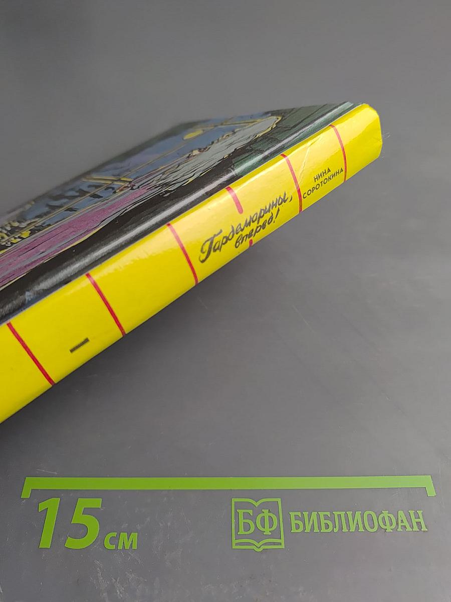 Гардемарины, вперед! Роман