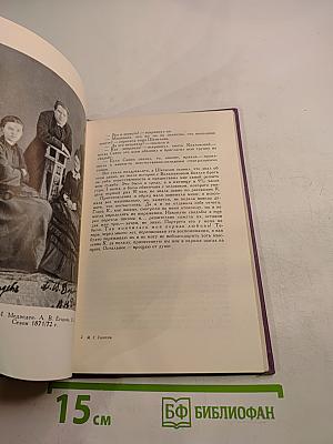 Горести и скитания. Записки 1854-1877