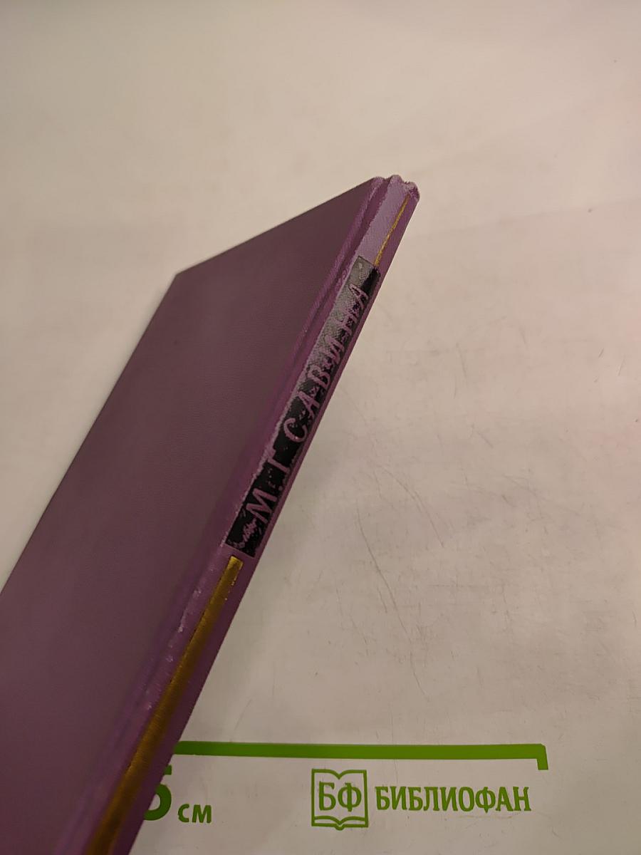 Горести и скитания. Записки 1854-1877