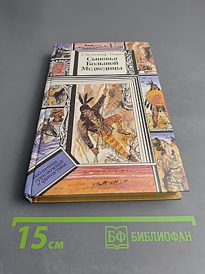 Сыновья Большой Медведицы. Книга вторая: Топ и Гарри