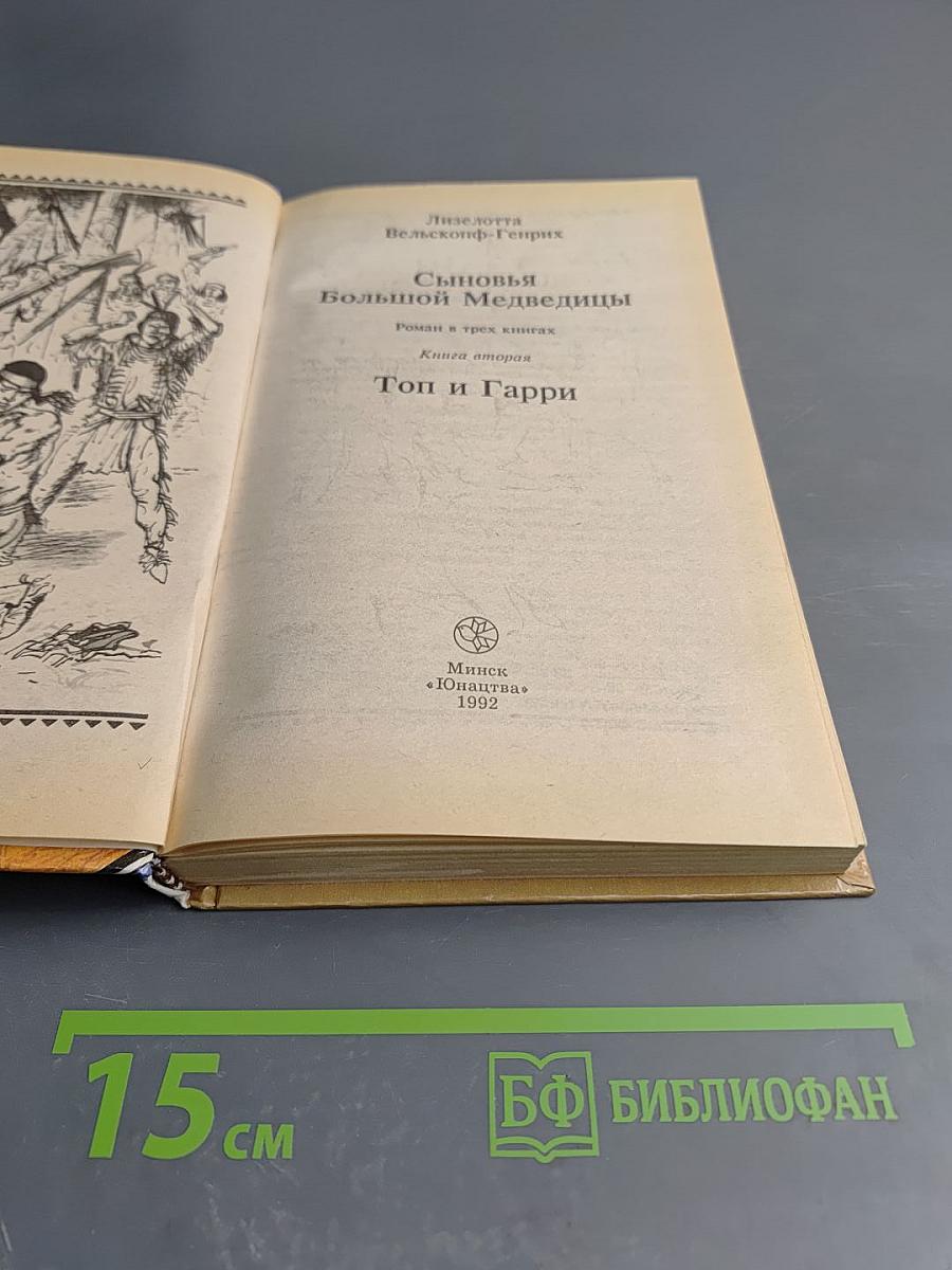 Сыновья Большой Медведицы. Книга вторая: Топ и Гарри