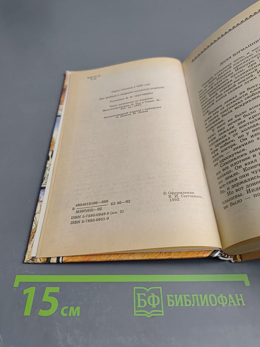 Сыновья Большой Медведицы. Книга вторая: Топ и Гарри