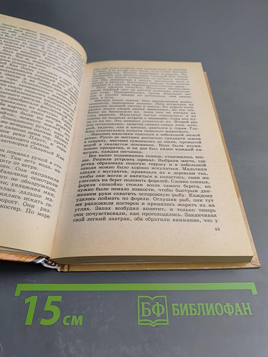 Сыновья Большой Медведицы. Книга вторая: Топ и Гарри