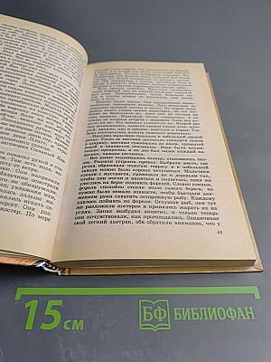 Сыновья Большой Медведицы. Книга вторая: Топ и Гарри