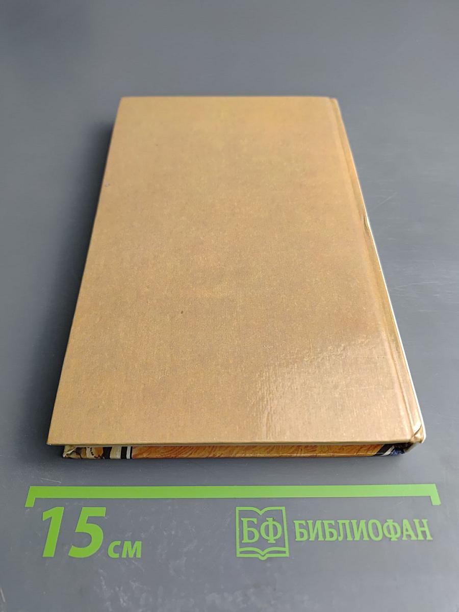 Сыновья Большой Медведицы. Книга вторая: Топ и Гарри