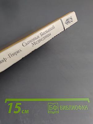 Сыновья Большой Медведицы. Книга вторая: Топ и Гарри