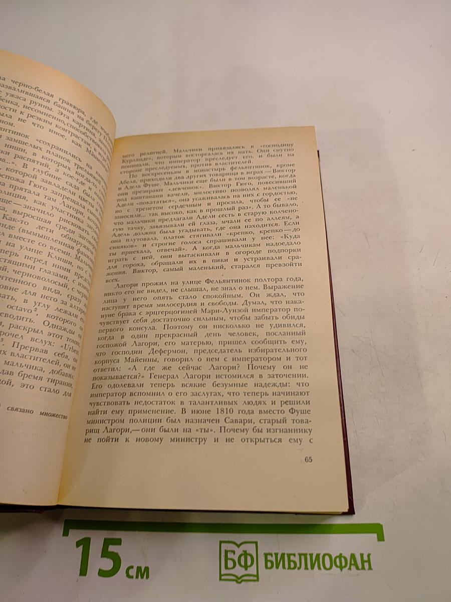 Олимпио, или Жизнь Виктора Гюго