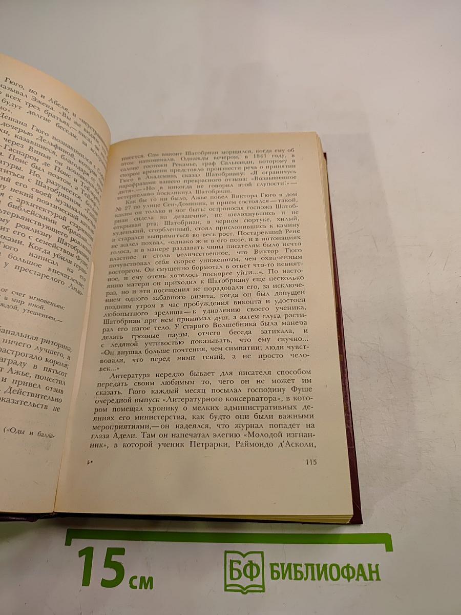 Олимпио, или Жизнь Виктора Гюго